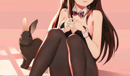 动漫兔女郎,兔女郎的奇幻冒险之旅
